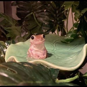 Meet your Posher, Ev